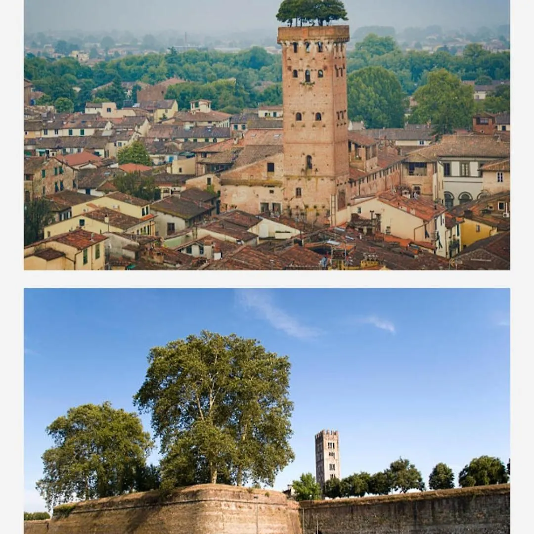 La Casa Di Fiorella Cerreto Guidi Itálie
